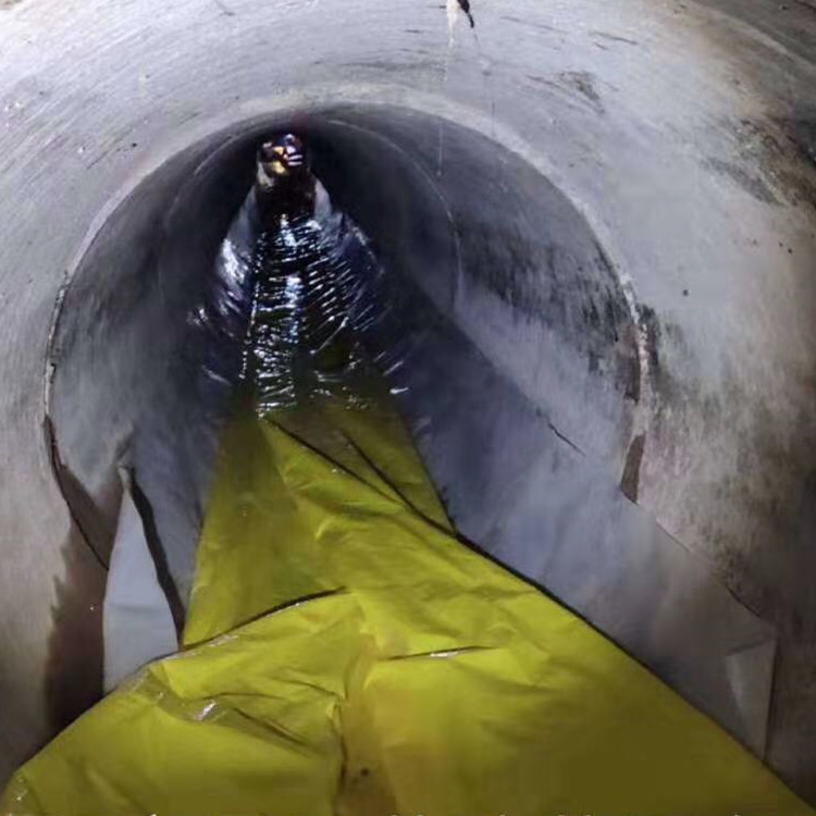 巴中管道光固化修复